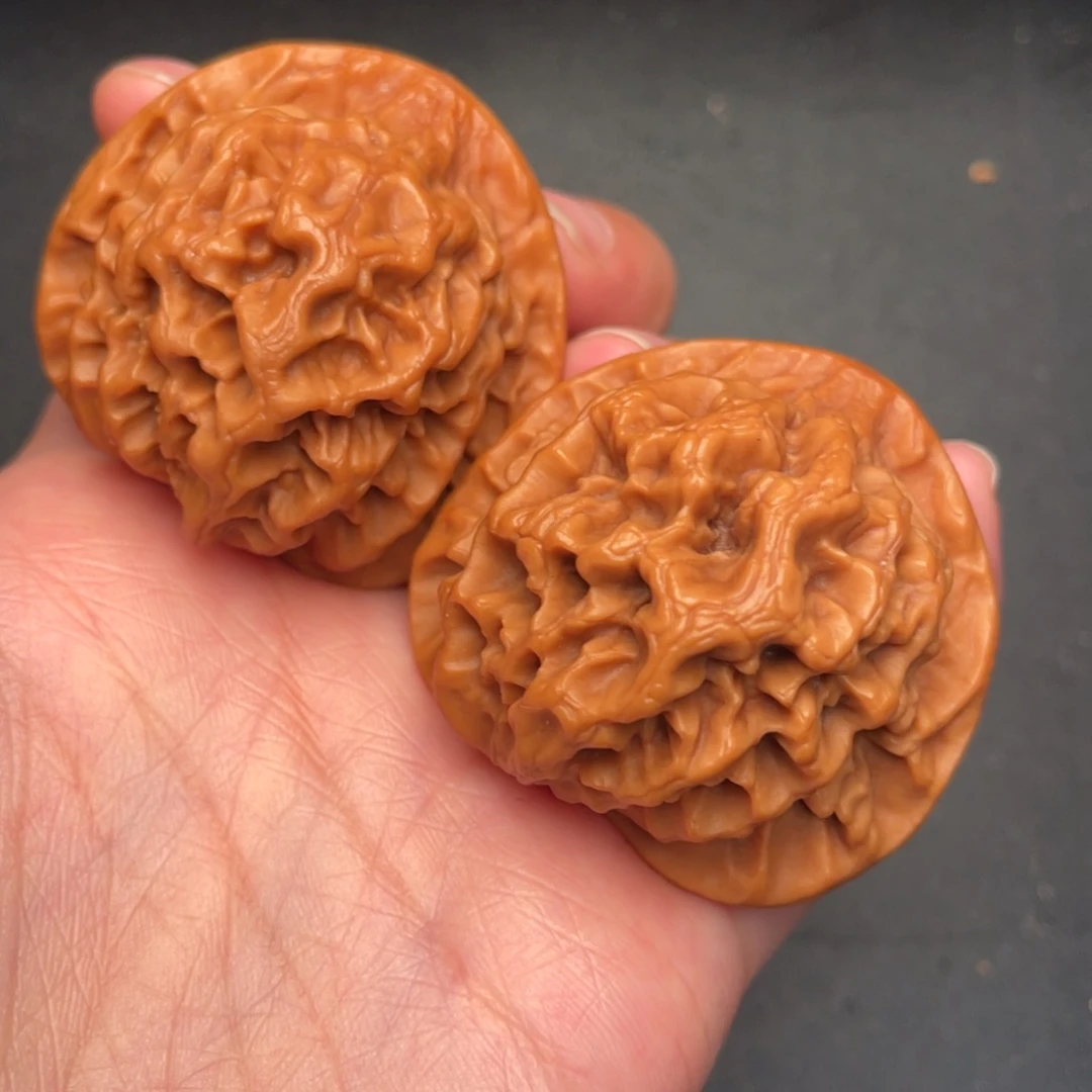 秦岭野生文玩核桃