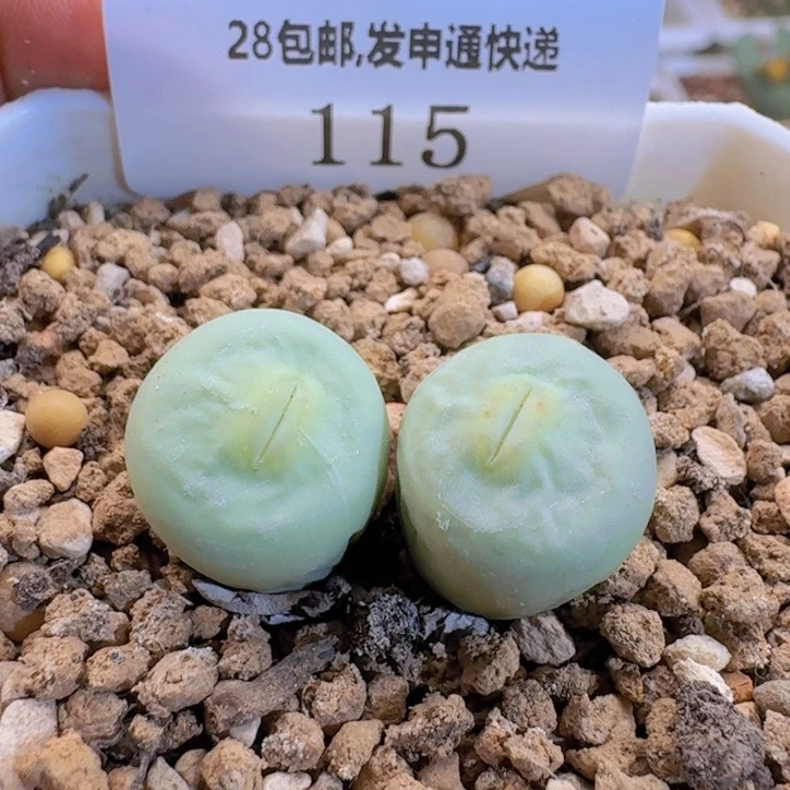 115。