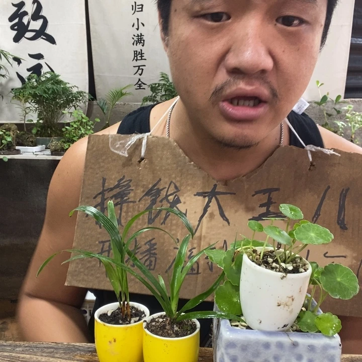 无花朵退款拉黑拉黑13