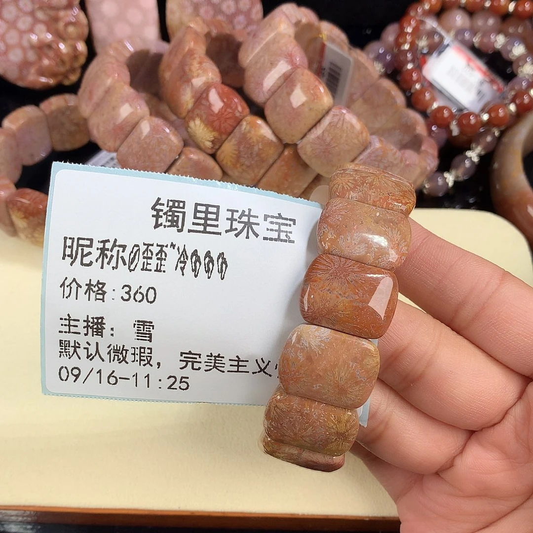 *****吊坠(赠链)未镶嵌硅化珊瑚（珊瑚玉）