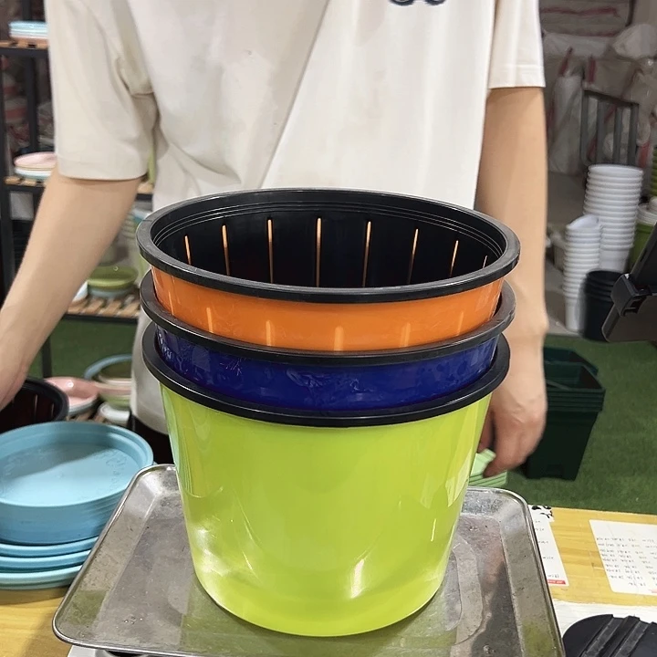 懒人自吸水盆口25高17混色3支