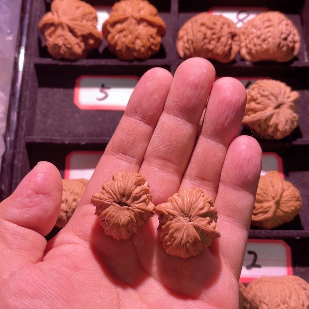 1*秦皇岛山地果全品磨盘