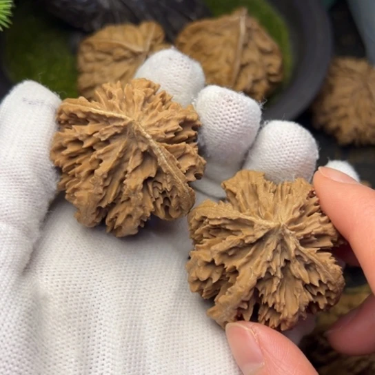 沧***田文玩核桃把件秦岭核桃13