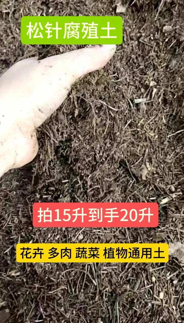 通用型松针腐植土适合养花种菜