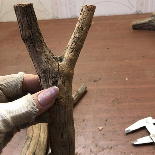 大果紫檀（缅甸花梨）灵*