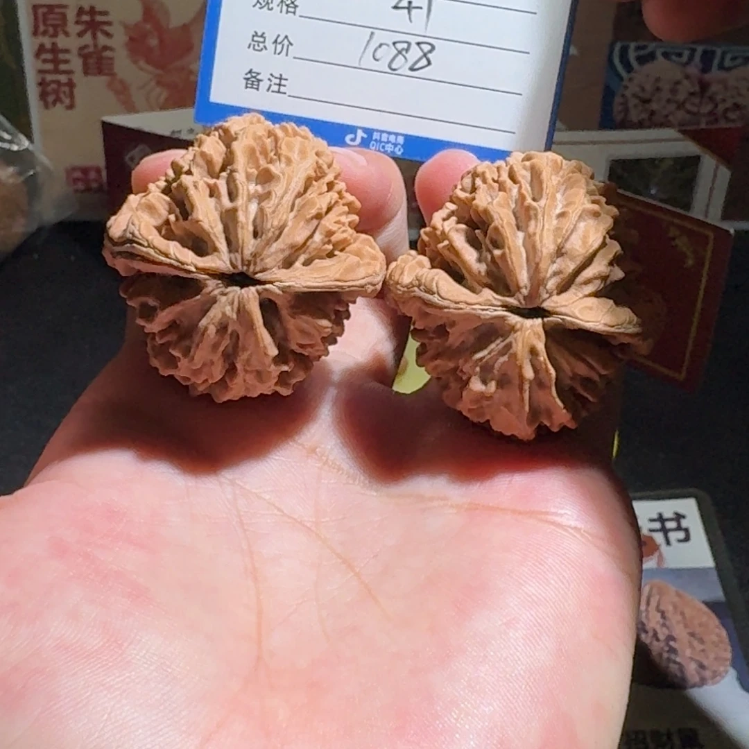 A***g原树招财鼠编号504