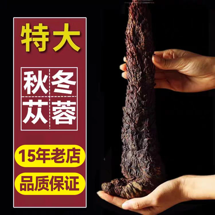 肉苁蓉中药材正品官方旗舰店正宗特级内蒙古阿拉善整根大干货500g