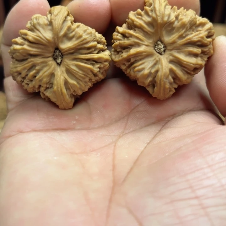 完全开放攀*帅南疆石