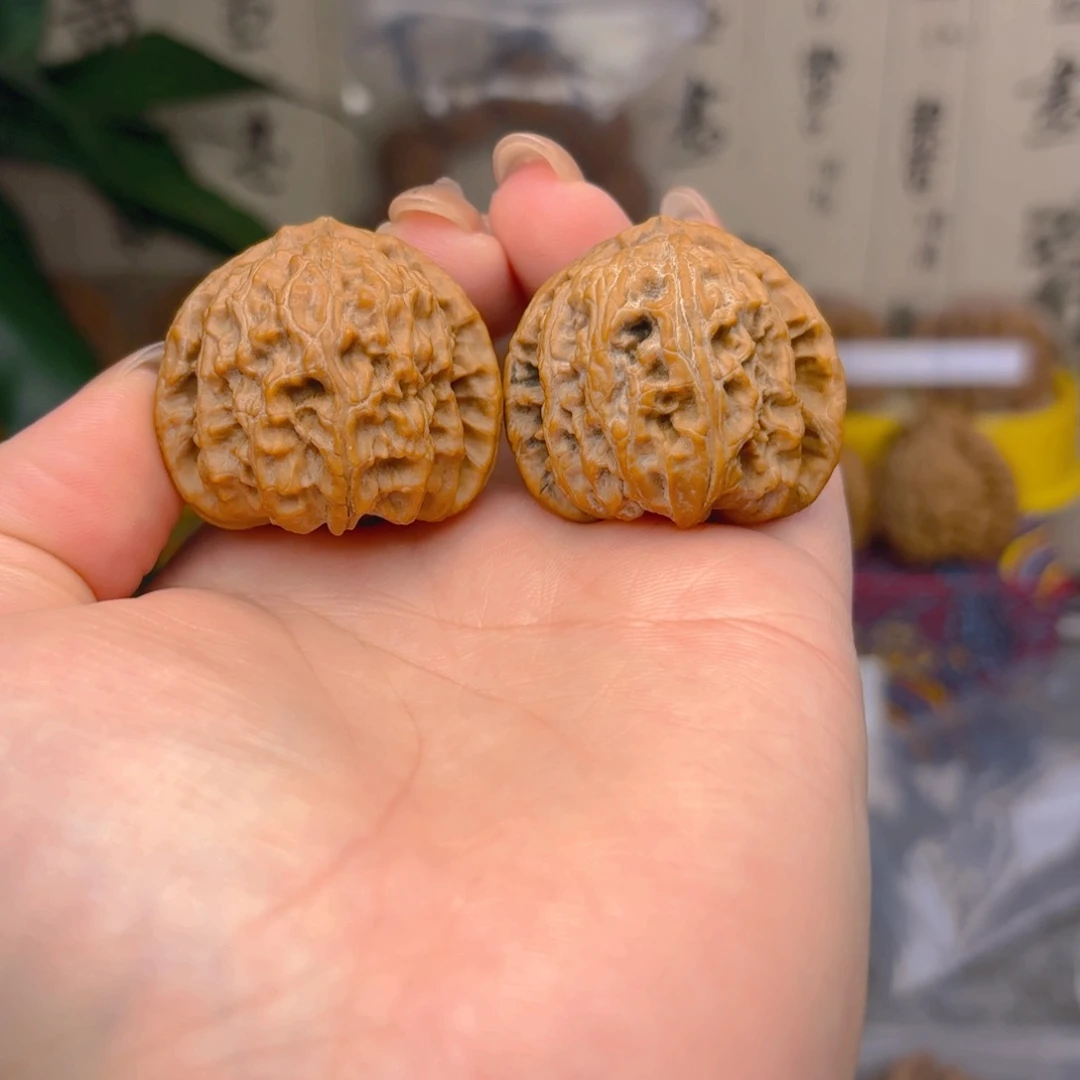 白狮子头三十六尺