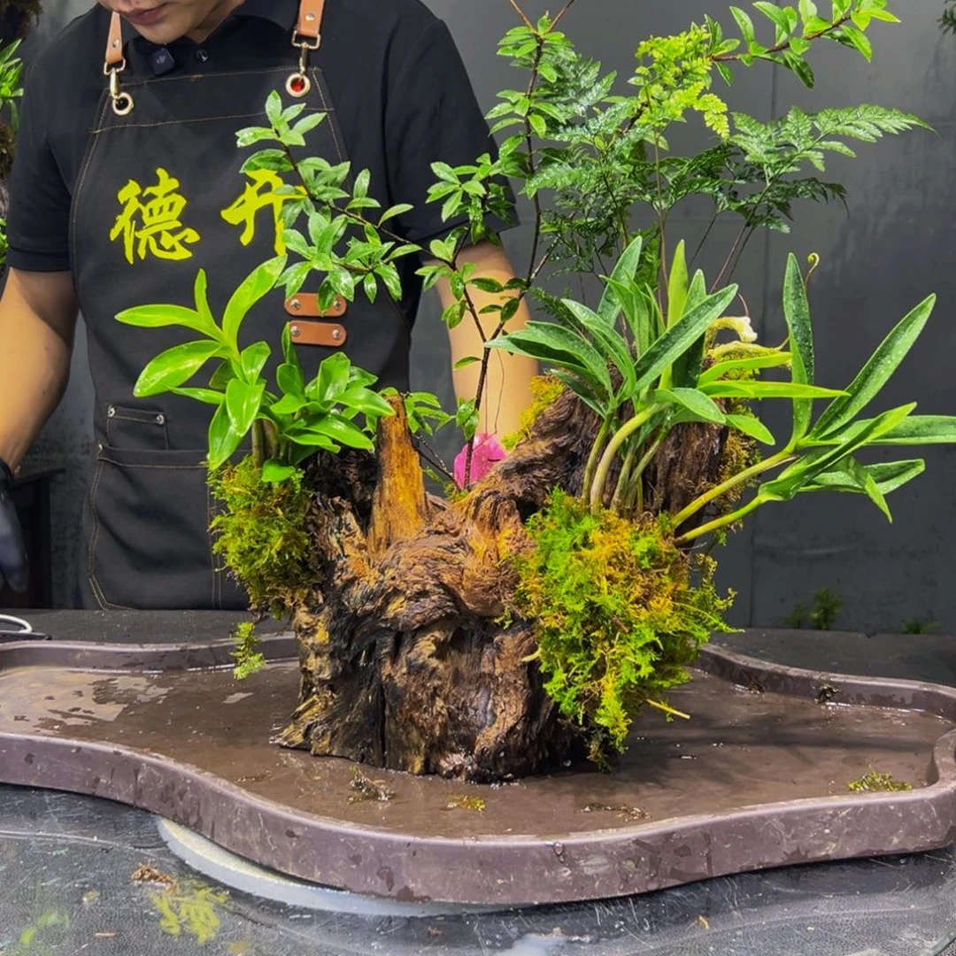 小***帆无花朵568846885858