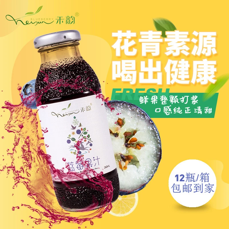 通化禾韵蓝莓果汁高含量花青素≥85%果汁饮料260ml*12瓶