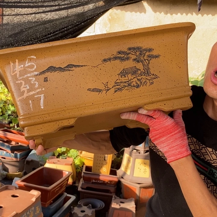 花盆紫砂紫砂特价包邮送