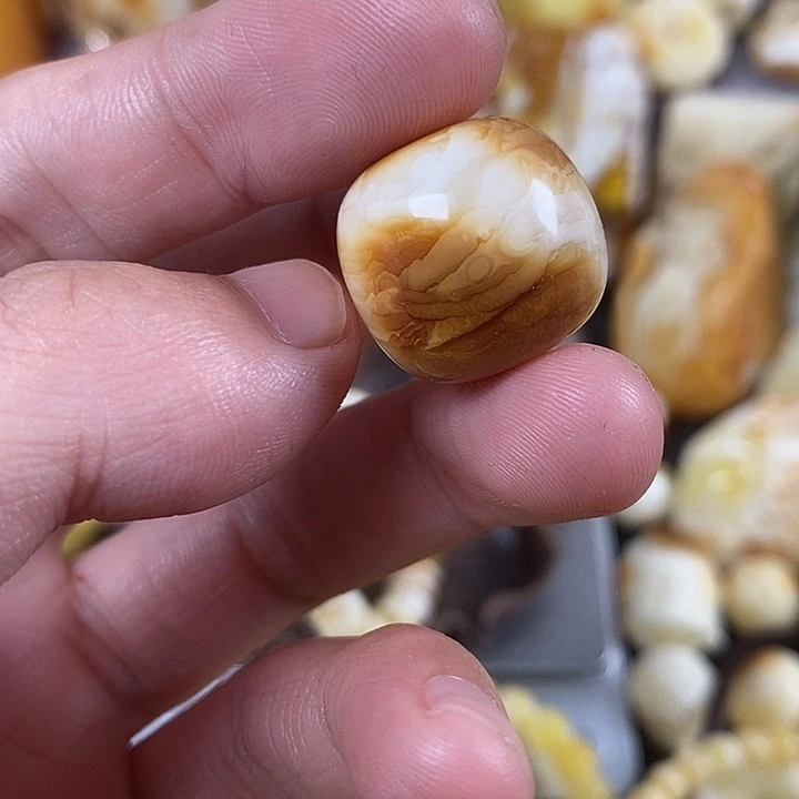 龙***城未镶嵌琥珀裸石我