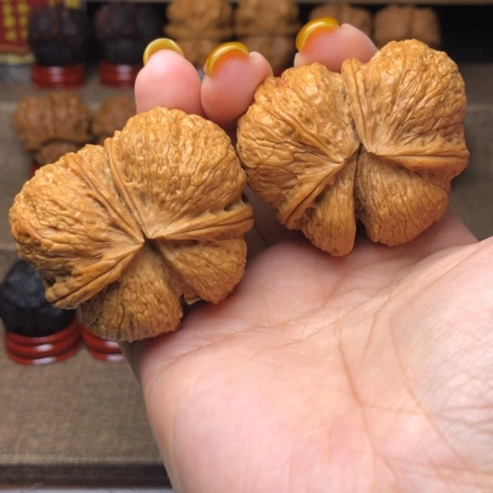 把件文玩核桃5号蝴蝶两连44尺