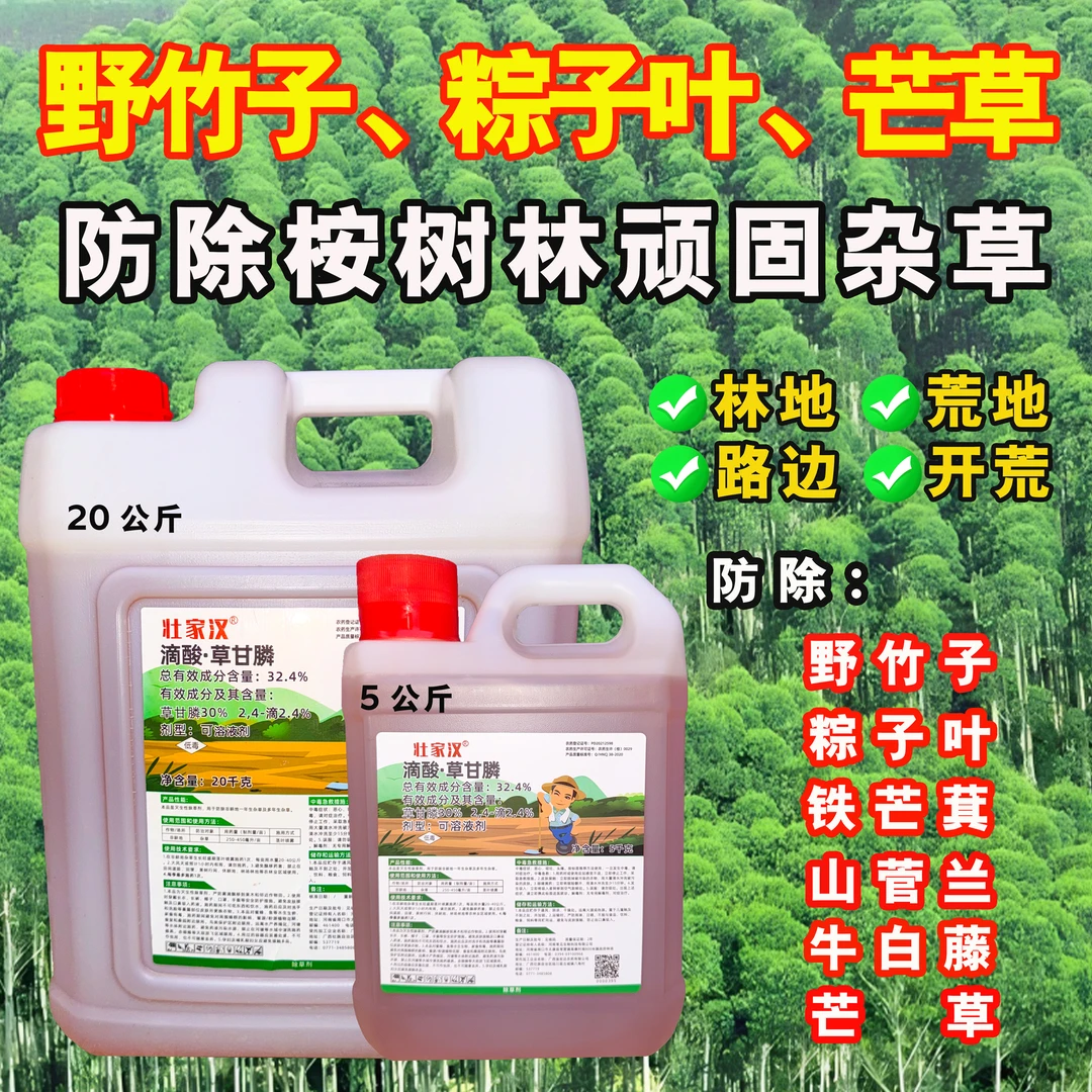 壮家汉滴酸草甘膦除草剂防除林地荒地铁芒箕野竹子山菅兰顽固杂草