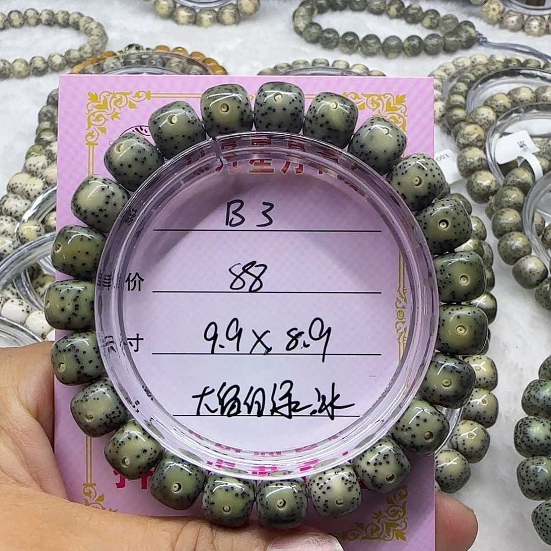 心月星月菩提一号B3