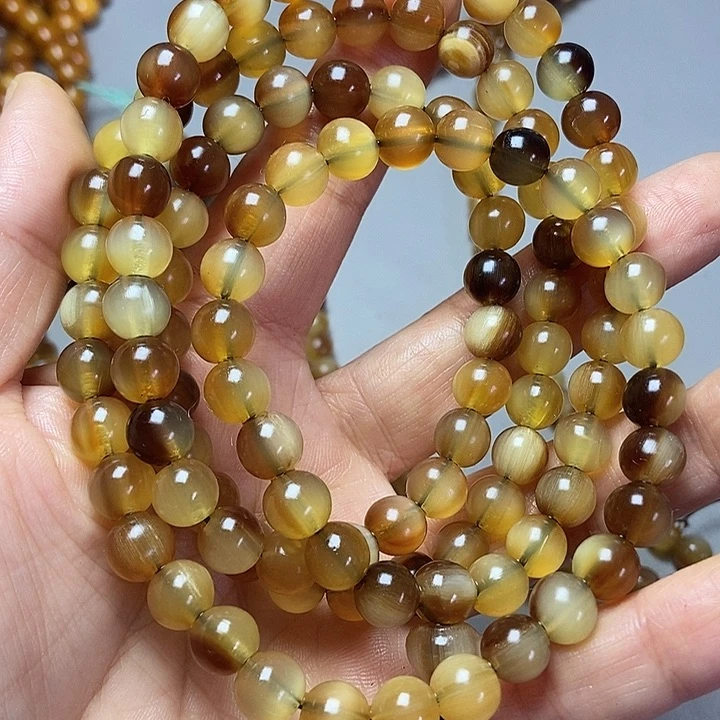 大果紫檀（缅甸花梨）