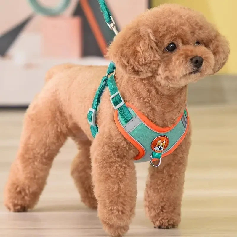 背心式狗狗牵引绳小型犬泰迪比熊博美胸背带宠物幼犬遛狗绳子狗链