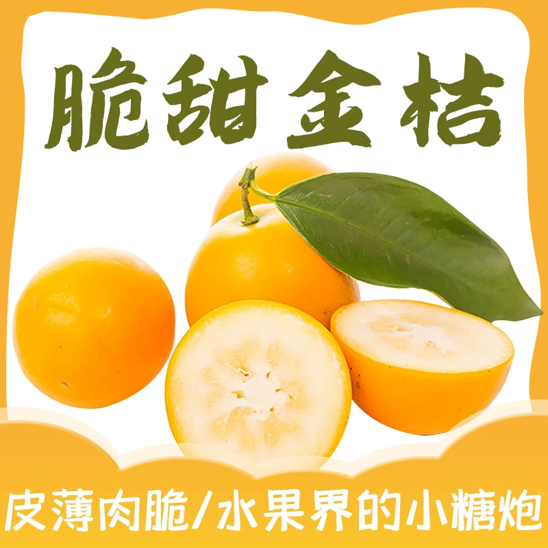 【买50个送50个】正宗广西融安脆皮小金桔高山种植果园直发脆甜zh