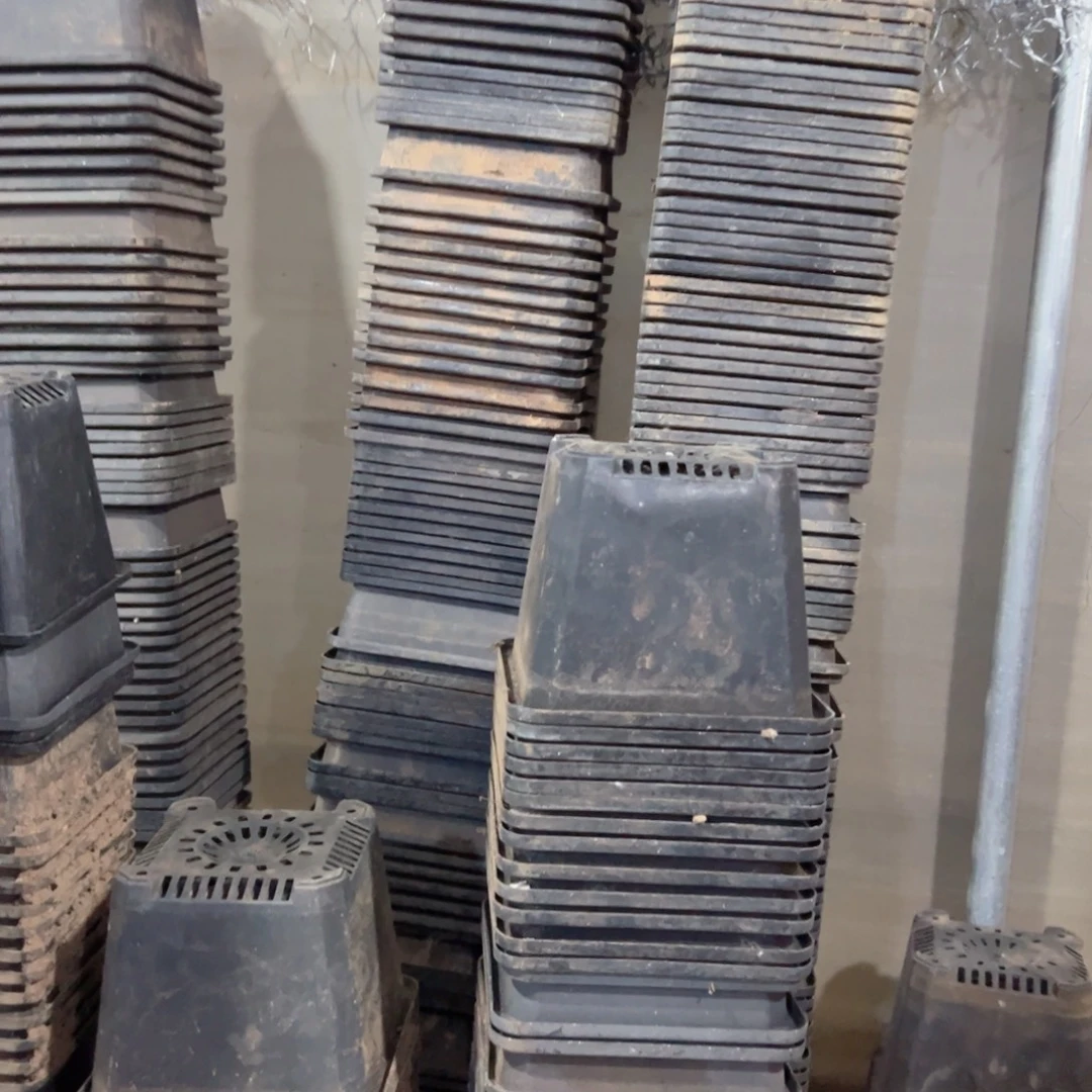 黑方140盆13.5口径10高 20个