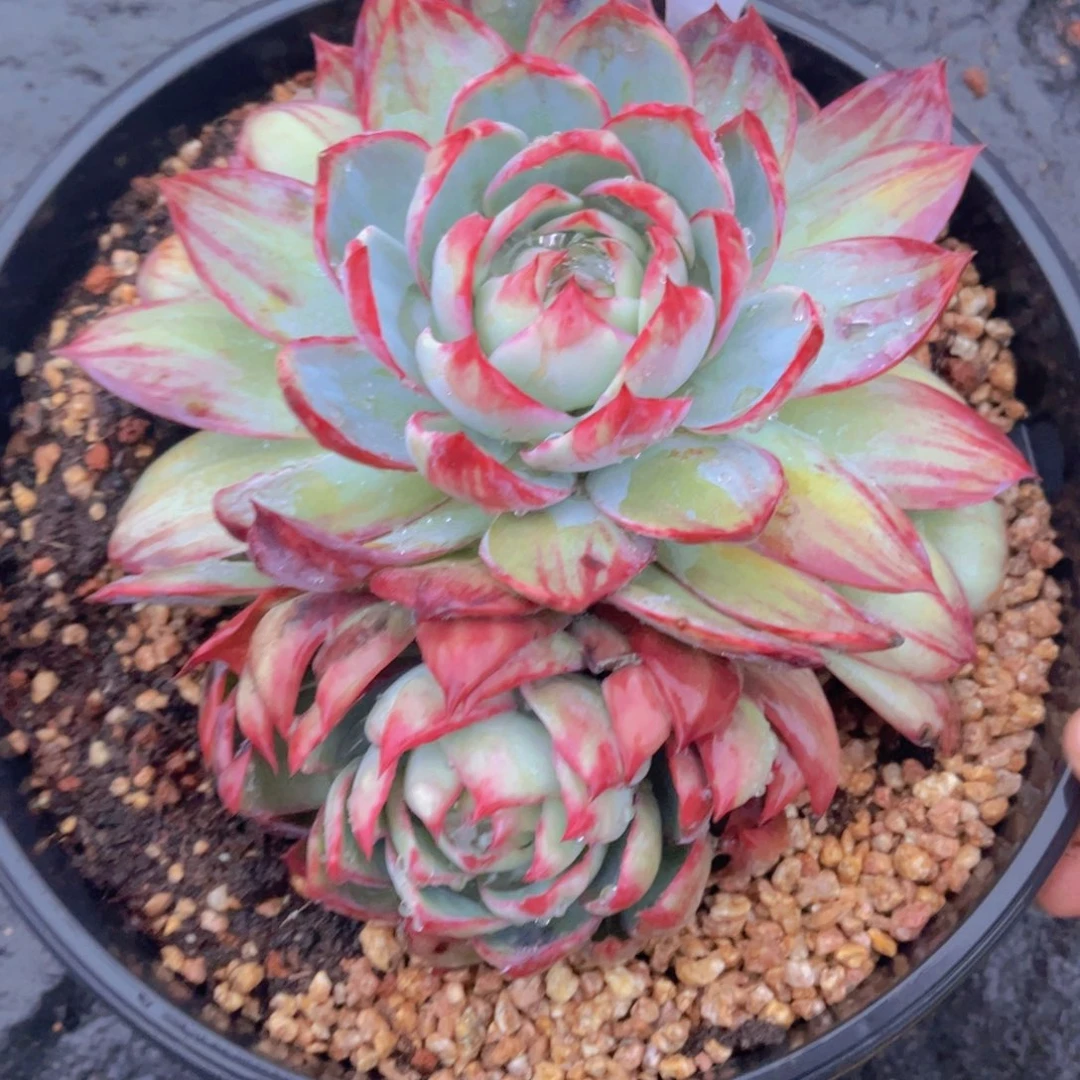 6-30