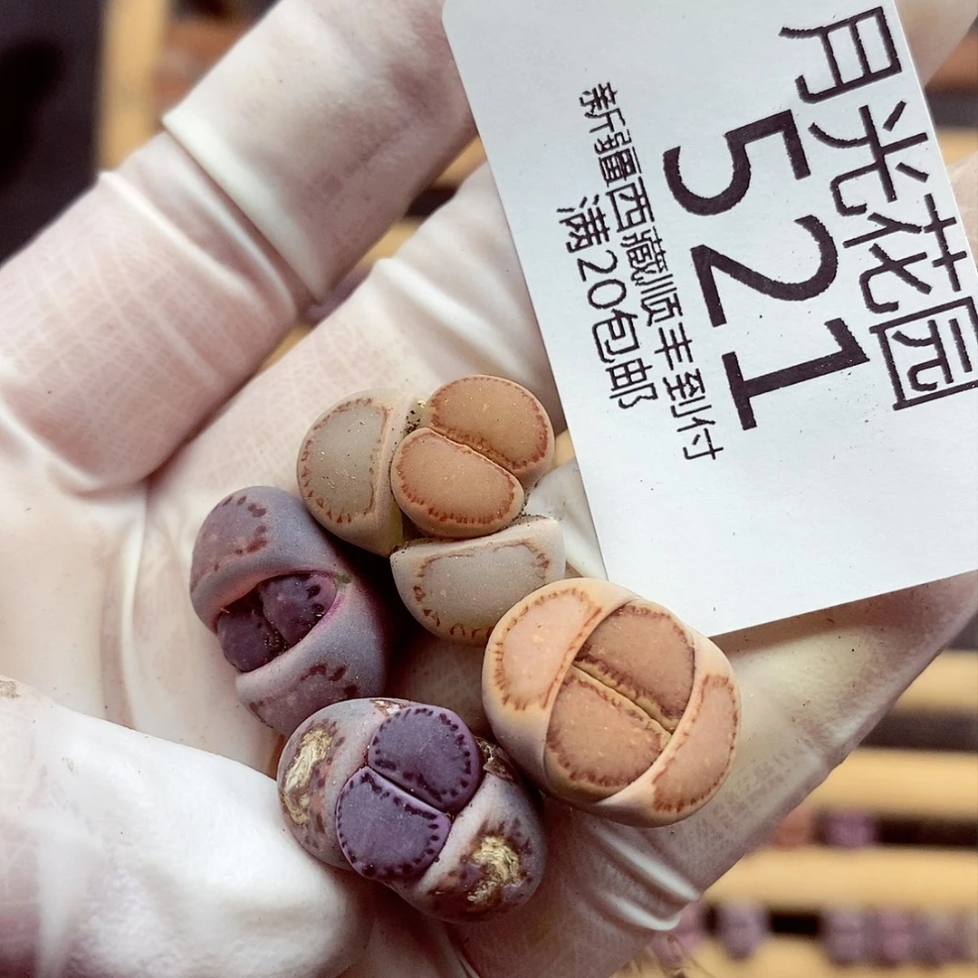 小****r我想吃火锅吃麻辣面也521