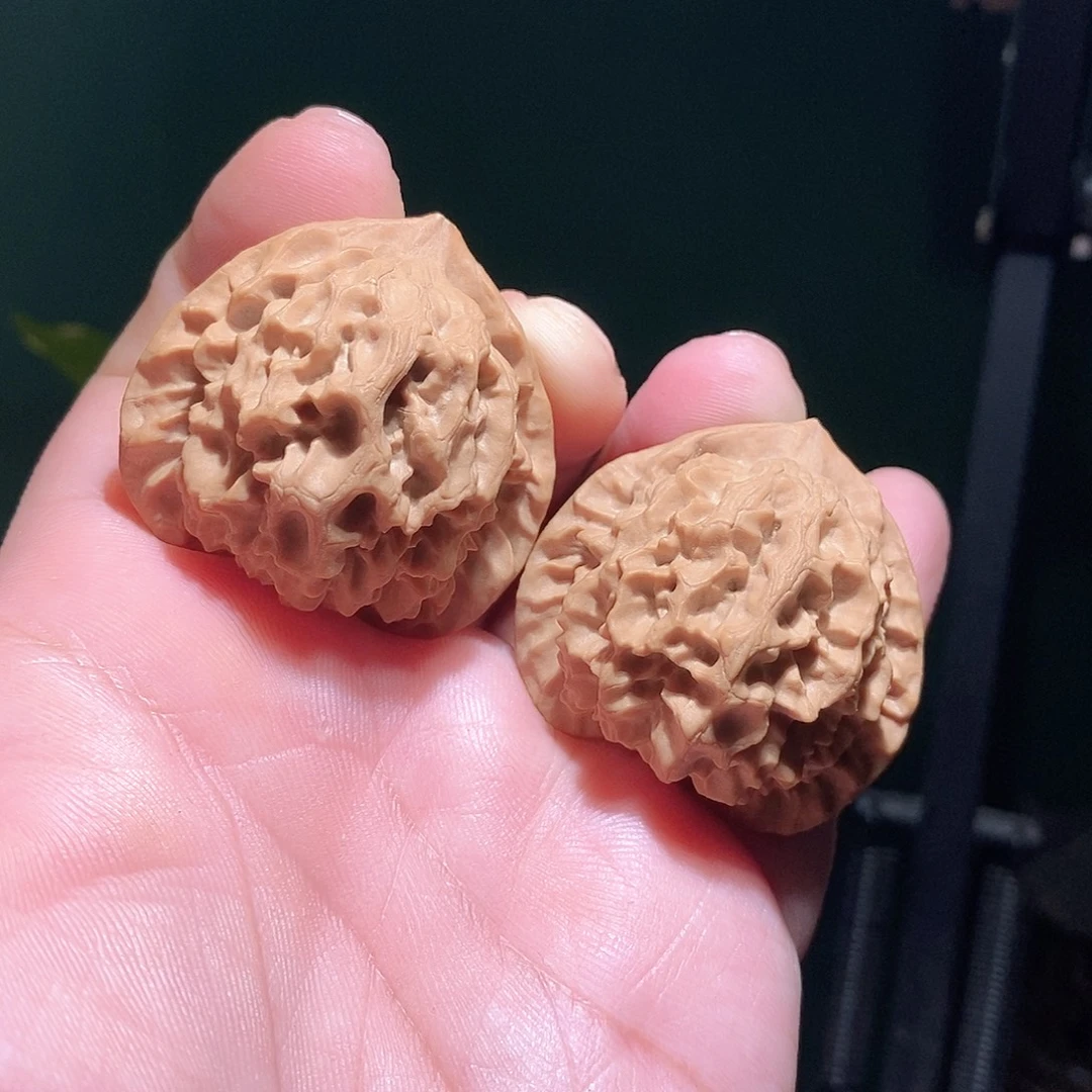 把件文玩核桃40三角秦闷全品