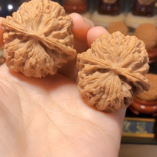 精品：球体苹果园