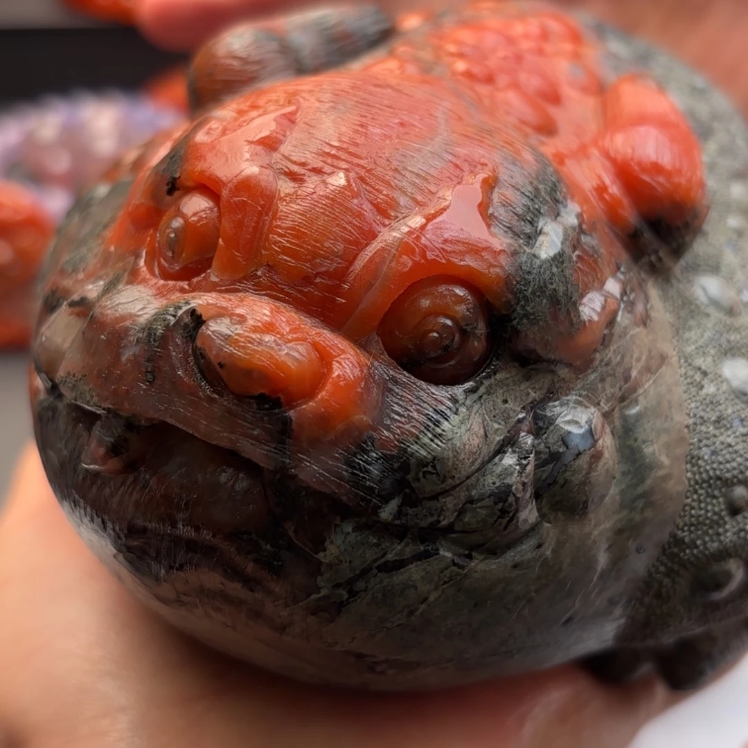 南红玛瑙未镶嵌珠宝半成品