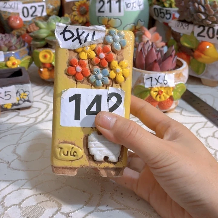 多肉花盆满15包邮