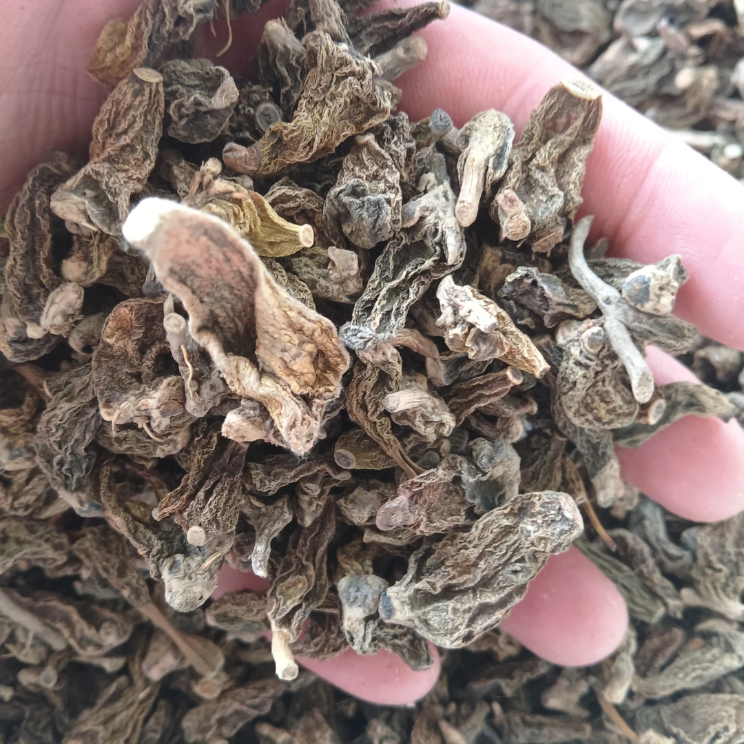 小雅山货推荐【红珠虫石斛】山货特产