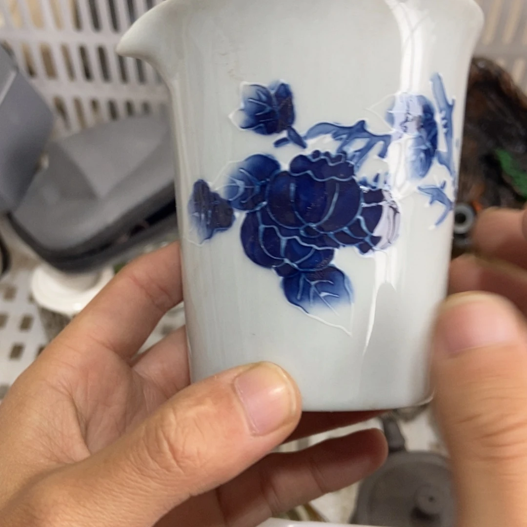 杯直播链接直播链接