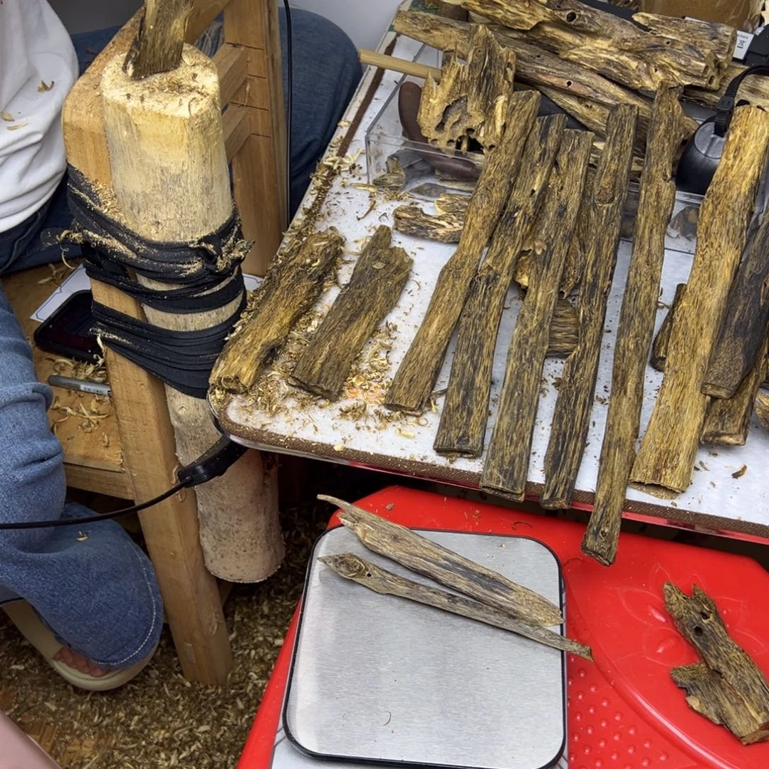 线香奇楠虫漏香18克