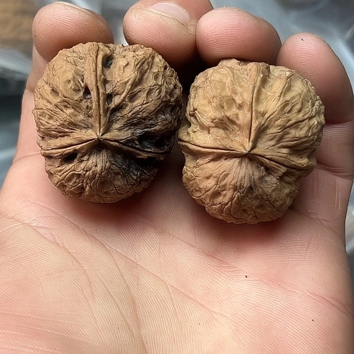 文玩核桃把件20号溜背三楞37尺