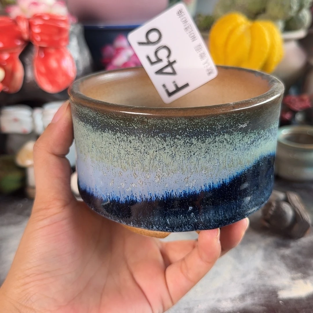 重庆小燕子欢迎大家456