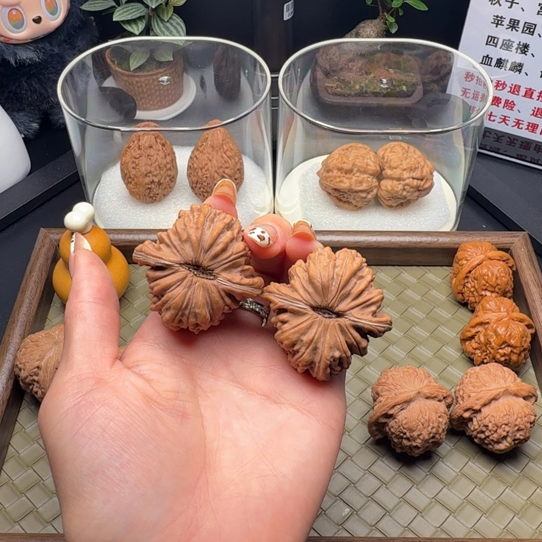 龙脊菩提吊坠四座楼精品毕业对