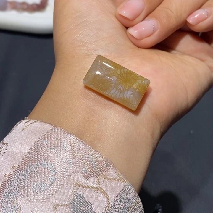 【闪购商品】未镶嵌珊瑚玉硅化玉