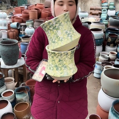 口19高20盆子盆子