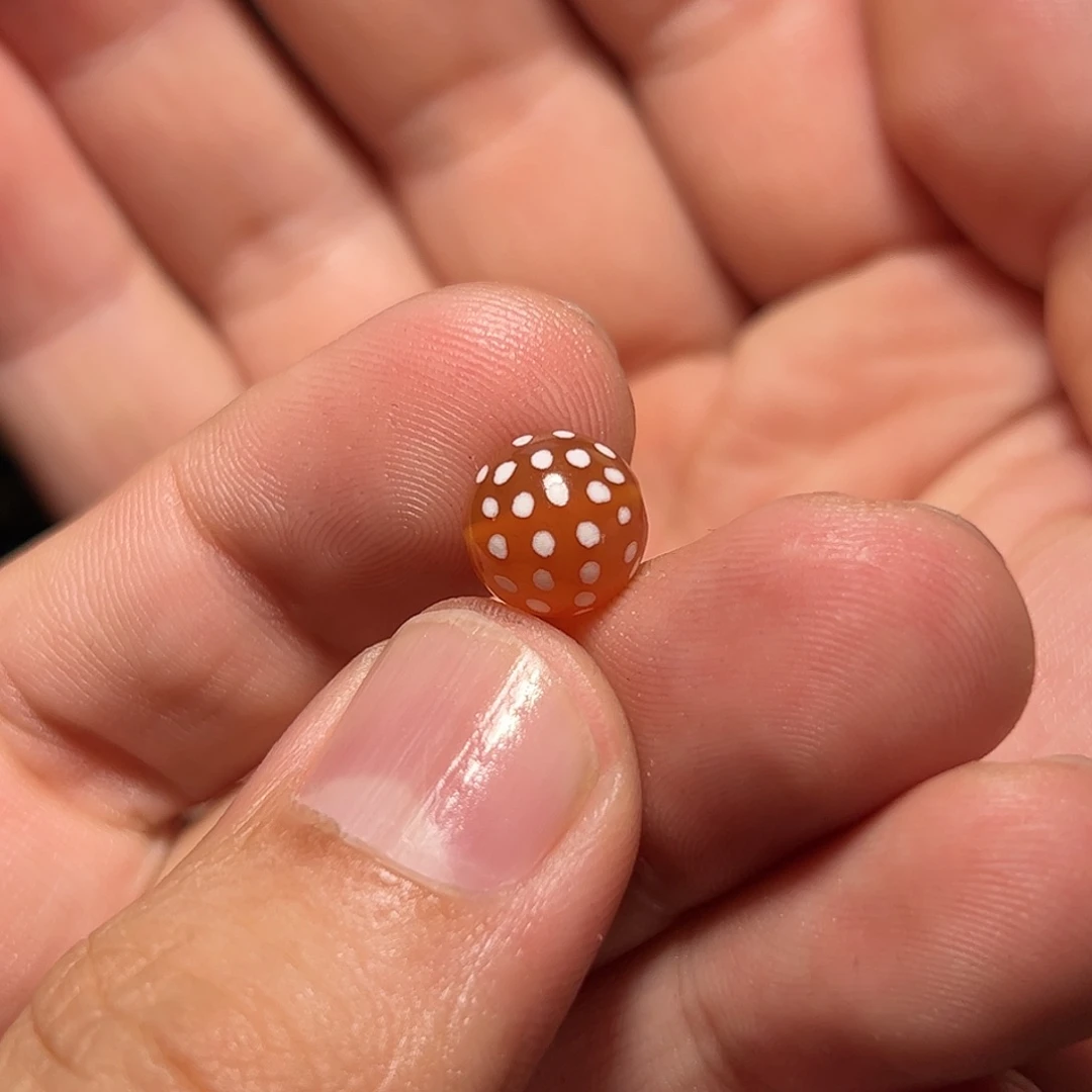 玛瑙/玉髓未镶嵌珠宝奇石