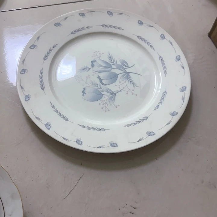 瓷片陶瓷盘子碗啥都有