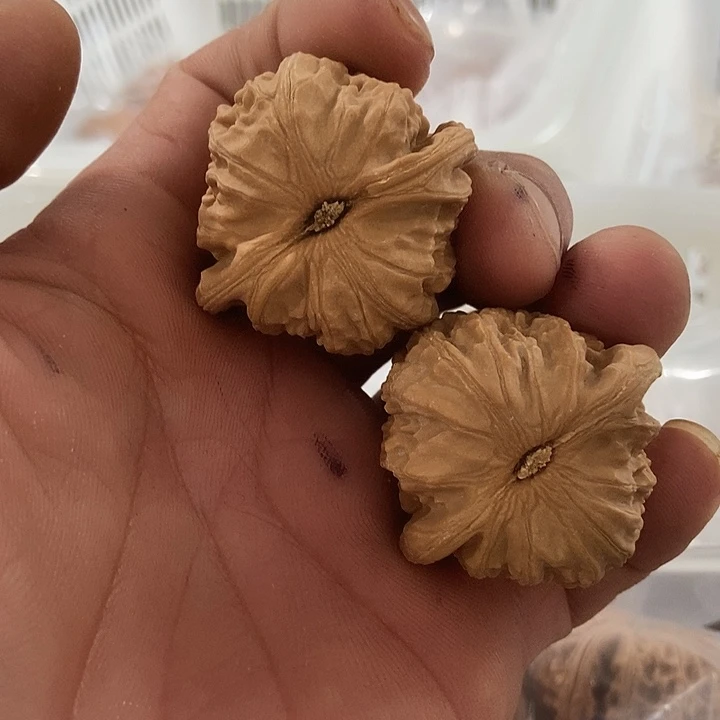 吊坠文玩核桃白狮子
