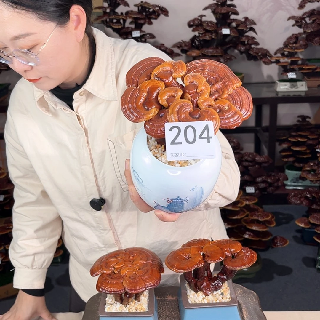 万事如意888888204