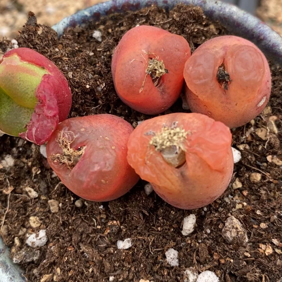 1268吕红一组一组