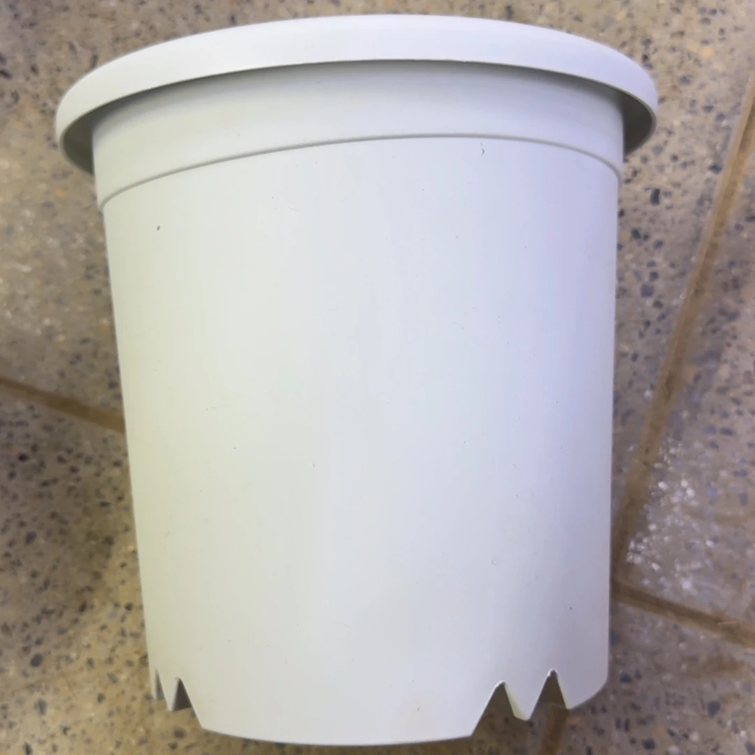 大灰白盆口径20无托盘，20包邮