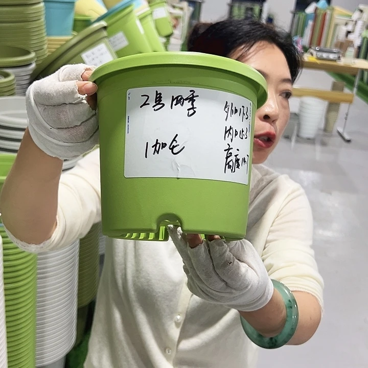 特价2号四季口17高15白色10只无托