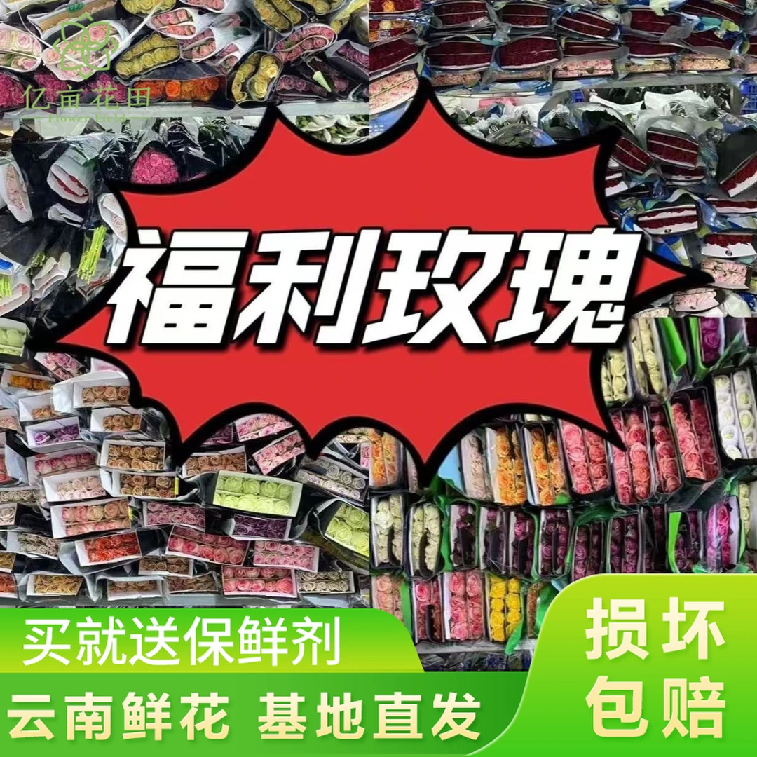 【40支方德小短腿玫瑰】3-4个品种云南鲜花 全店任意两件升级顺丰