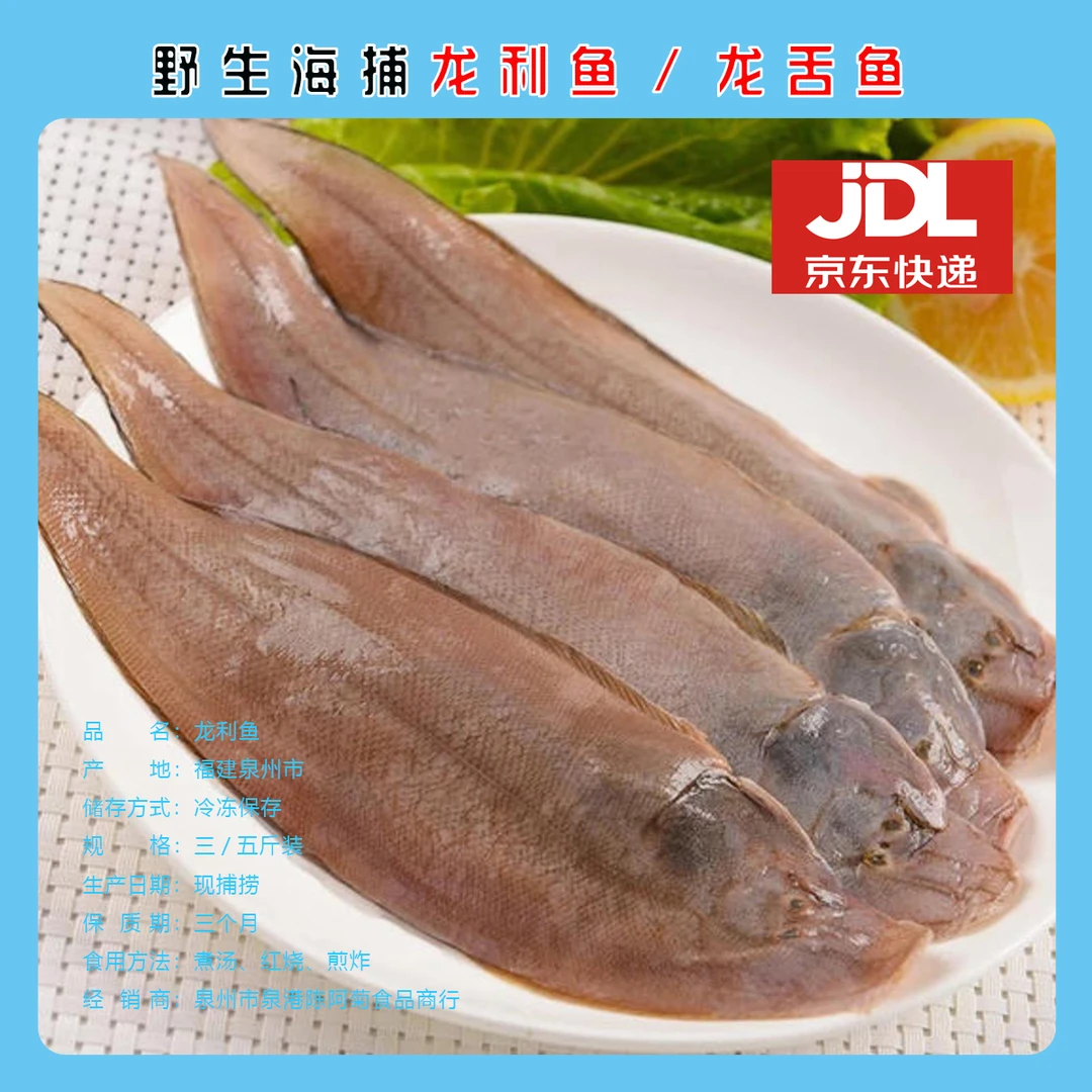 福建海捕野生舌鳎鱼龙利鱼龙舌鱼【中尾】