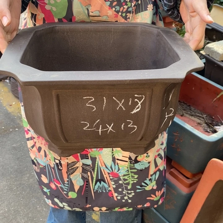 紫砂花盆只顾吃药就