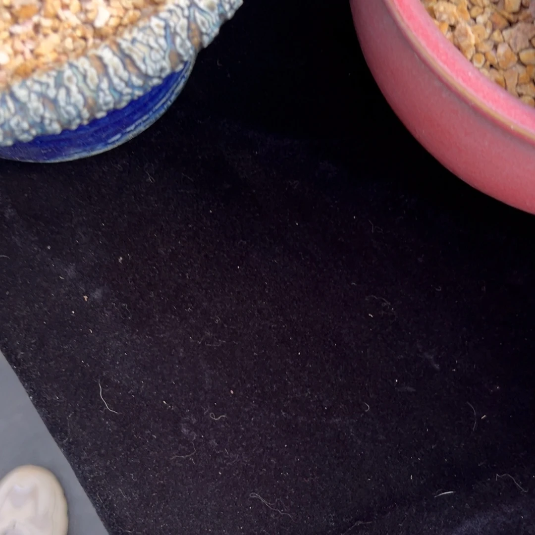 新年快乐 新年快乐