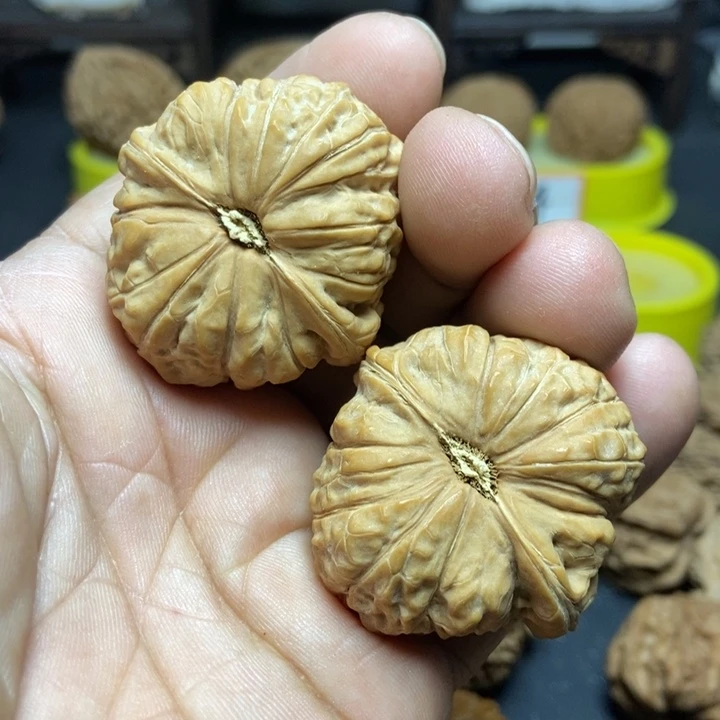 核桃南瓜墩儿003